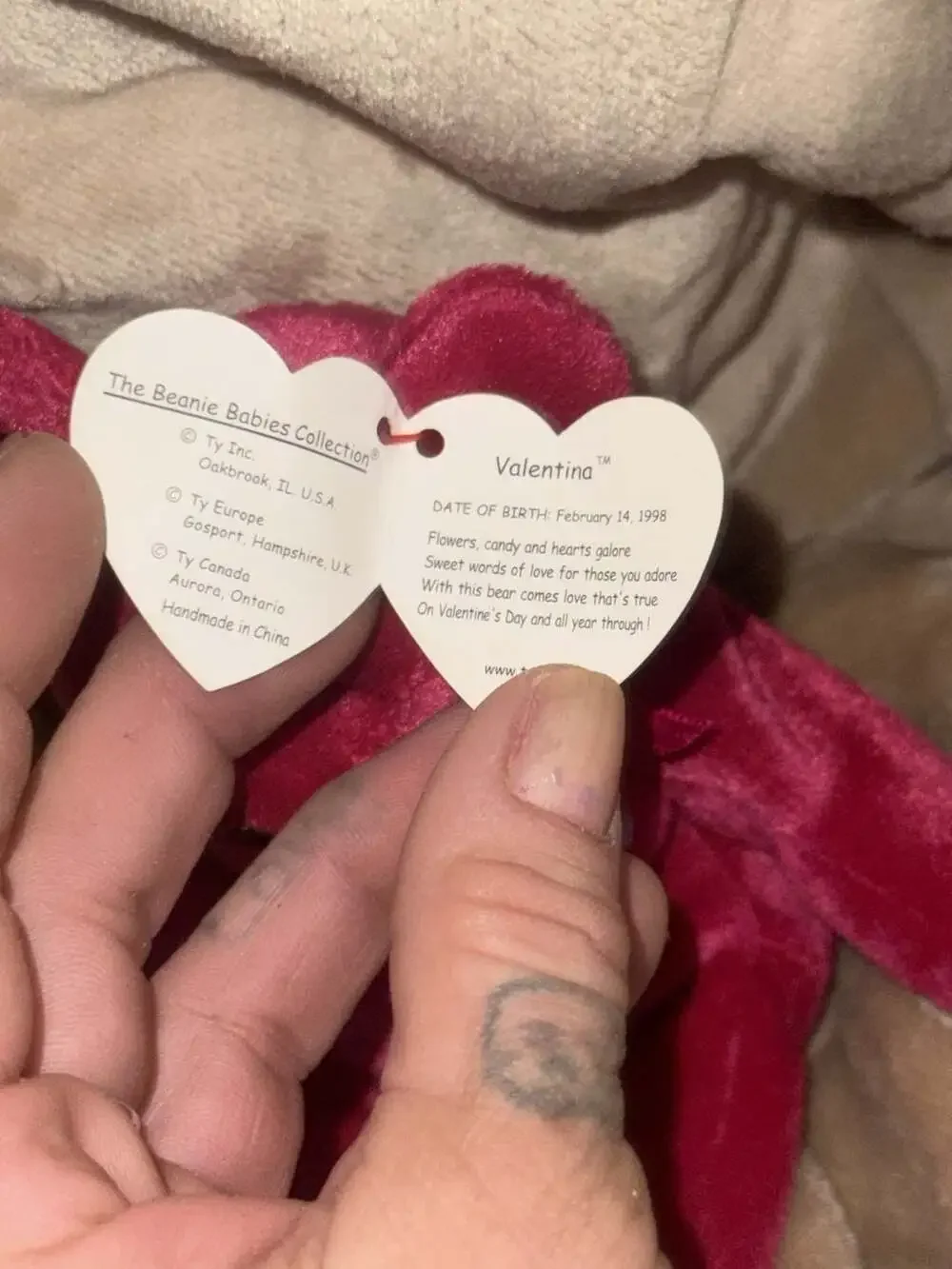 TY Beanie Baby Valentina Bear 1998